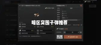 Descargar video: 暗区突围子弹推荐视频（上）