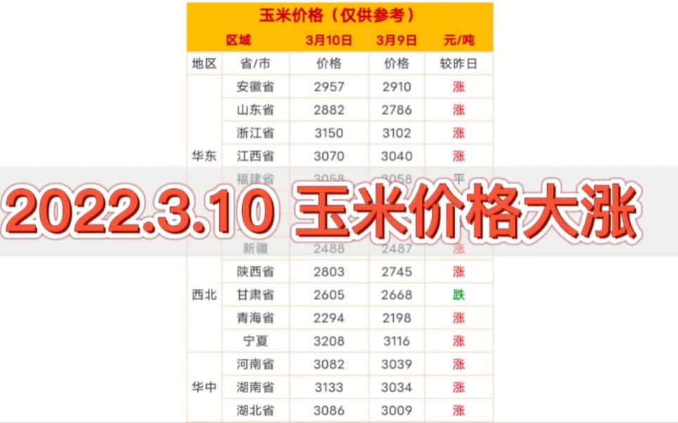 2022.3.10 今日全国玉米价格大涨 玉米市场行情价格表哔哩哔哩bilibili