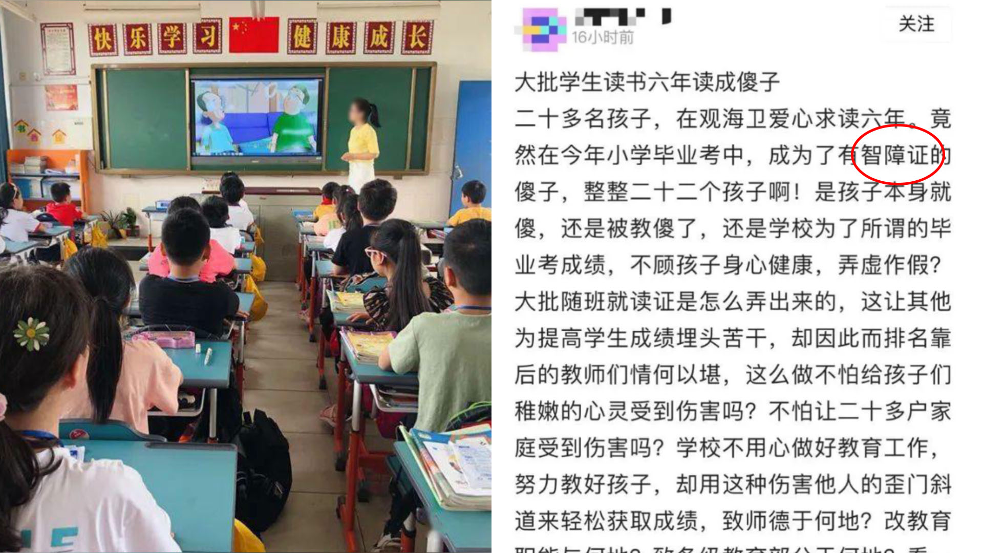 慈溪一爱心学校给毕业生发“智障证”?校方否认,教育部门介入哔哩哔哩bilibili