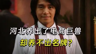 【兽楼处】—— 河北养出了电商巨兽，却养不出名牌？
