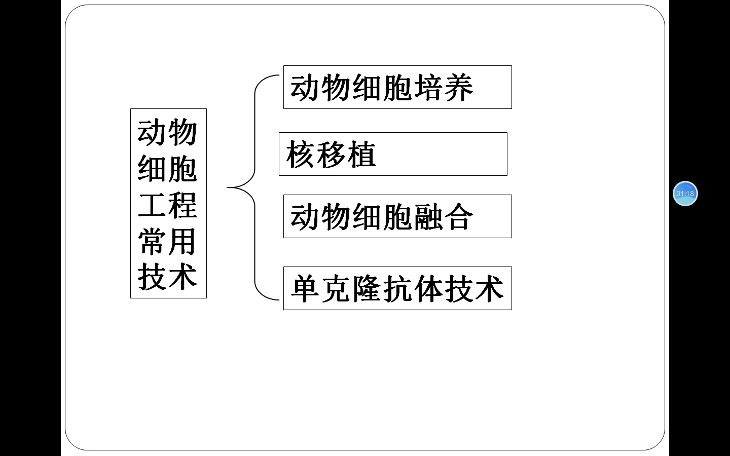 动物细胞核移植 细胞融合哔哩哔哩bilibili