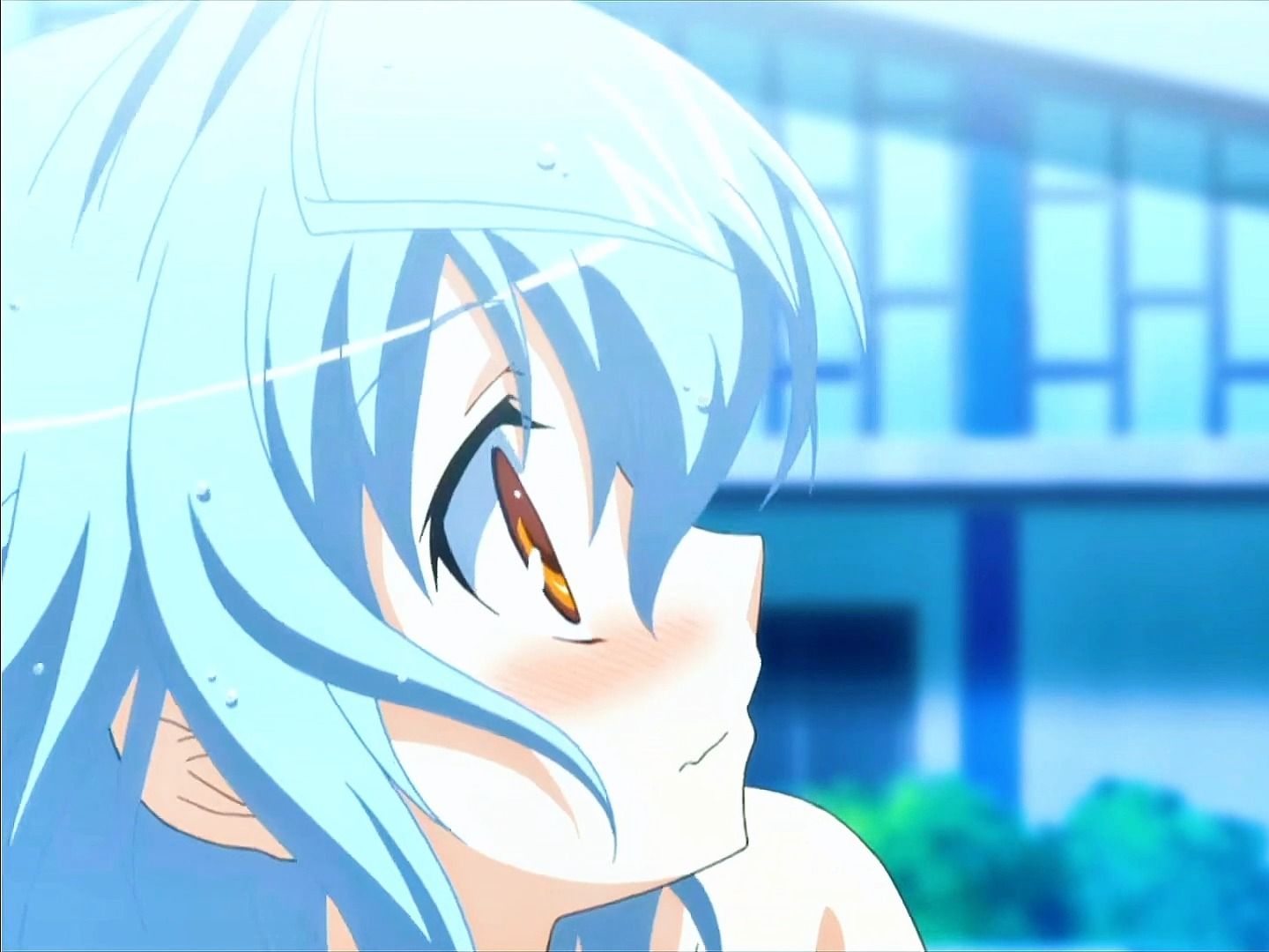 小时候第一次接触的轻百合番