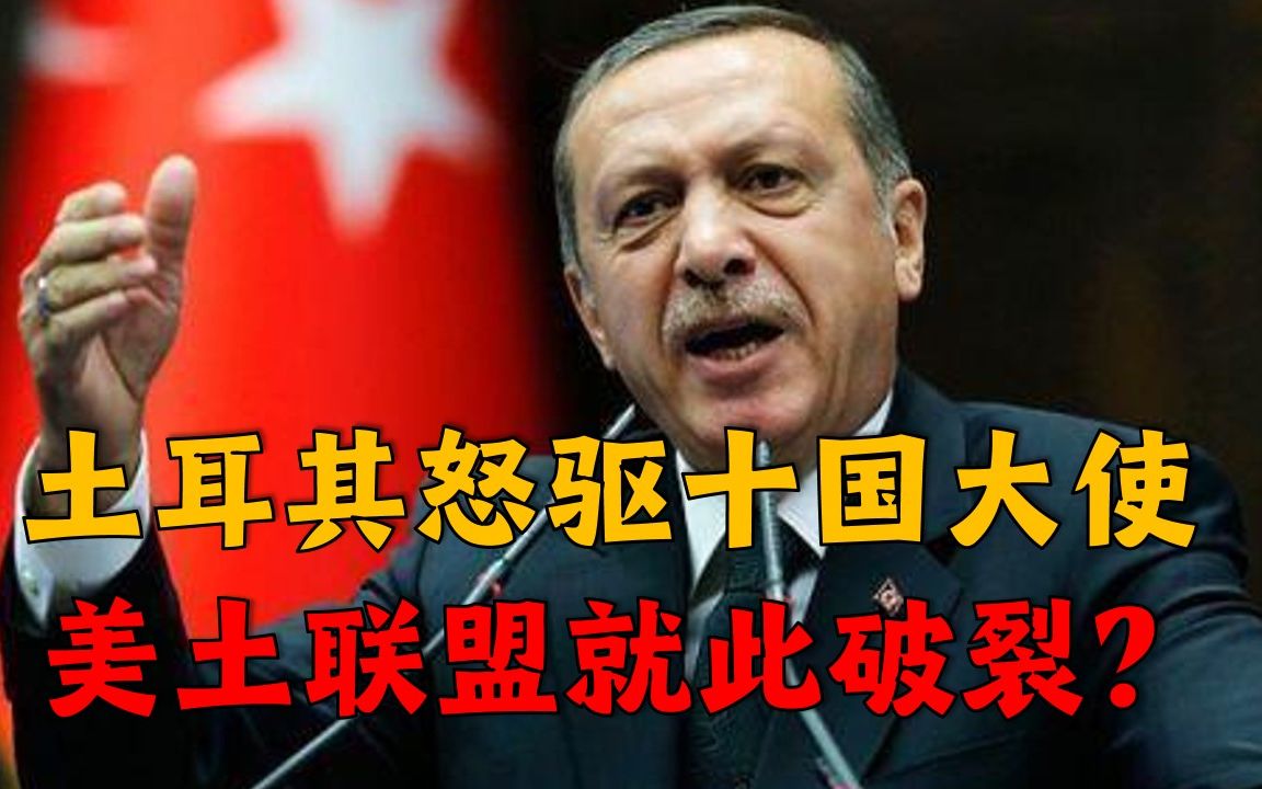 美土联盟就此破裂?土耳其遭欧美联合干政,总统怒驱十国大使哔哩哔哩bilibili