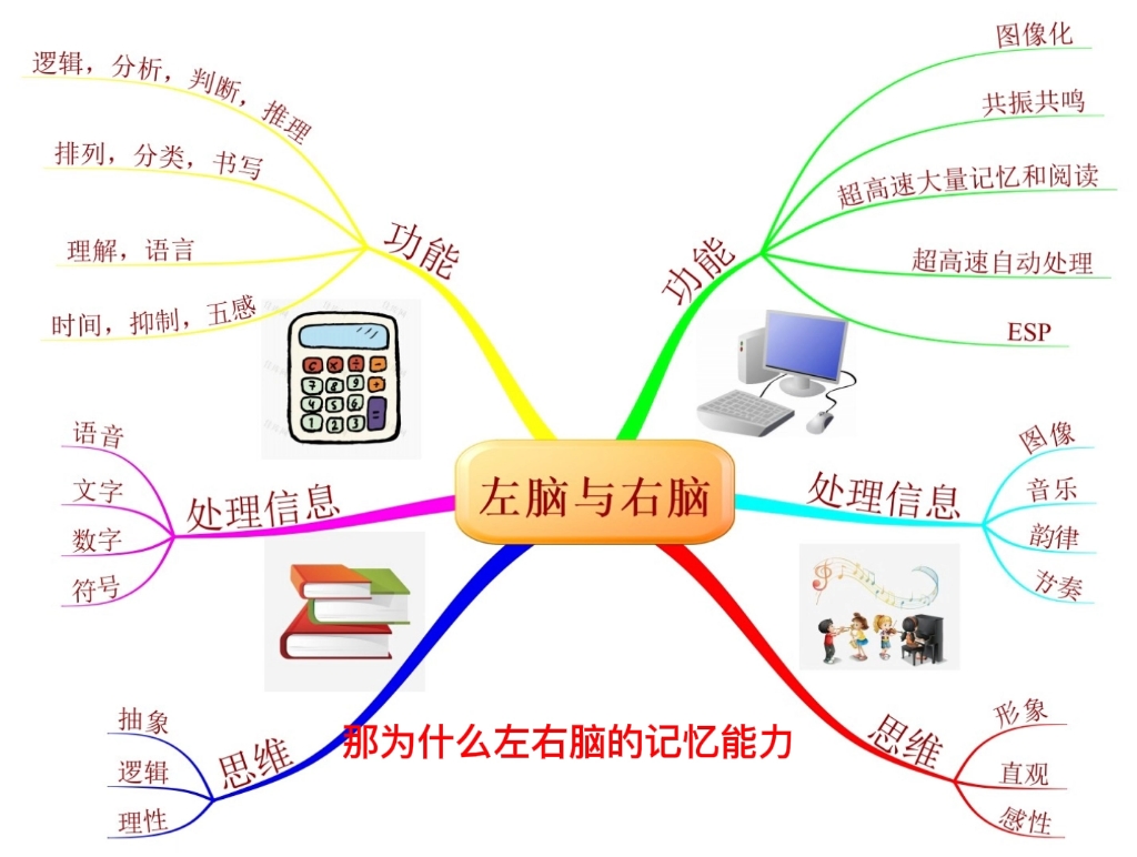 左右脑的不同(功能)哔哩哔哩bilibili