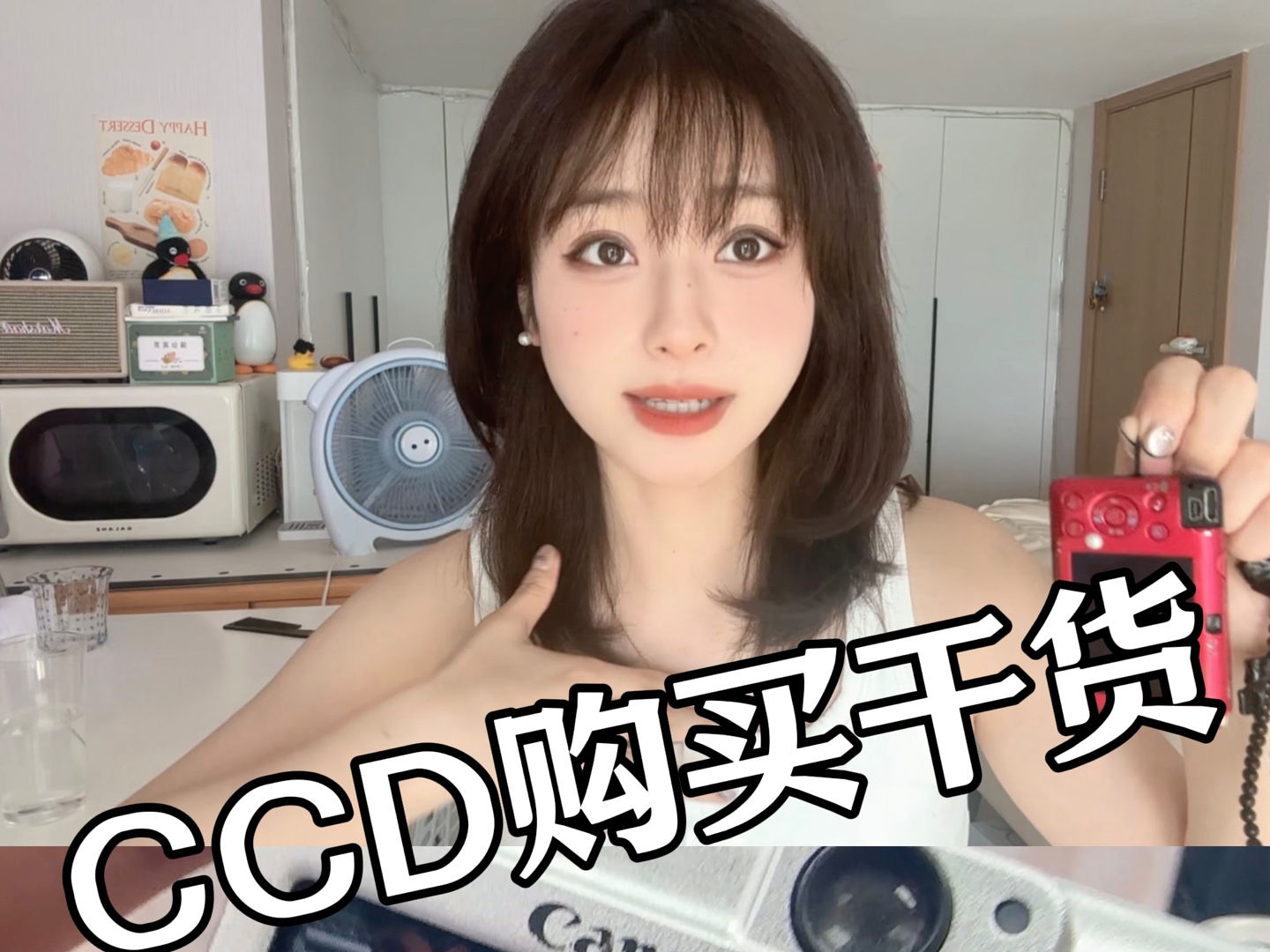 Ccd保姆级不踩雷干货,新手入坑必看哔哩哔哩bilibili