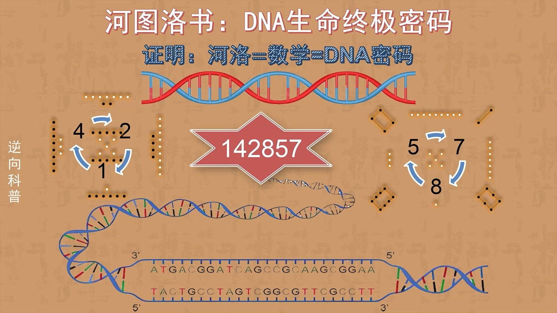 [图]河图洛书生命科学的DNA密码