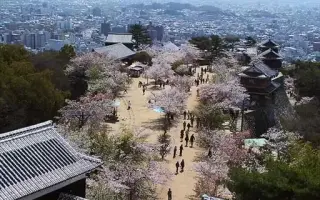 多岐川まり子 搜索结果 哔哩哔哩 Bilibili