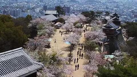 青山二丁目劇場ラジオドラマ1411 愛と鉄板のバラード 哔哩哔哩 つロ干杯 Bilibili