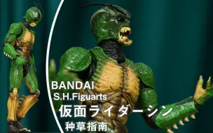 Download Video: 【种草指南】万代 S.H.Figuarts 假面骑士真