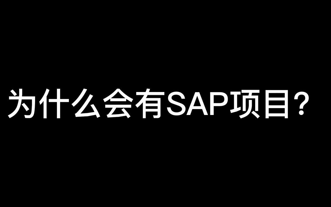 为什么会有SAP项目?哔哩哔哩bilibili