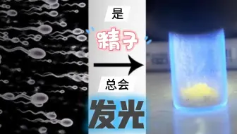 是精子总会发光的