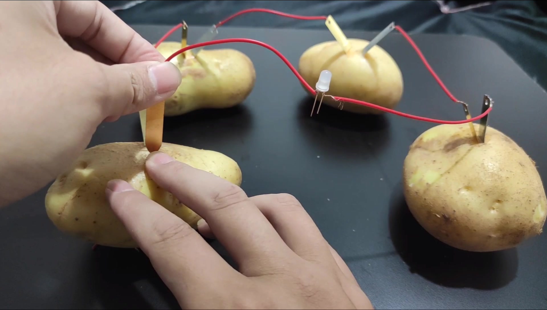 吃不完的土豆用来发电做电池用竟然可以点亮一盏小灯泡