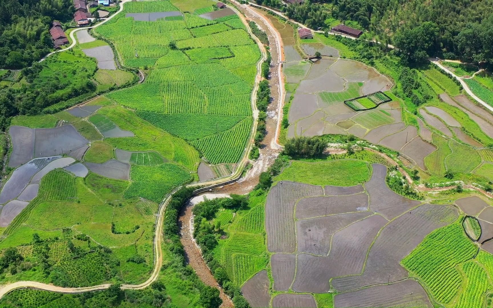 83.光泽县司前乡清溪村短视频大赛视频