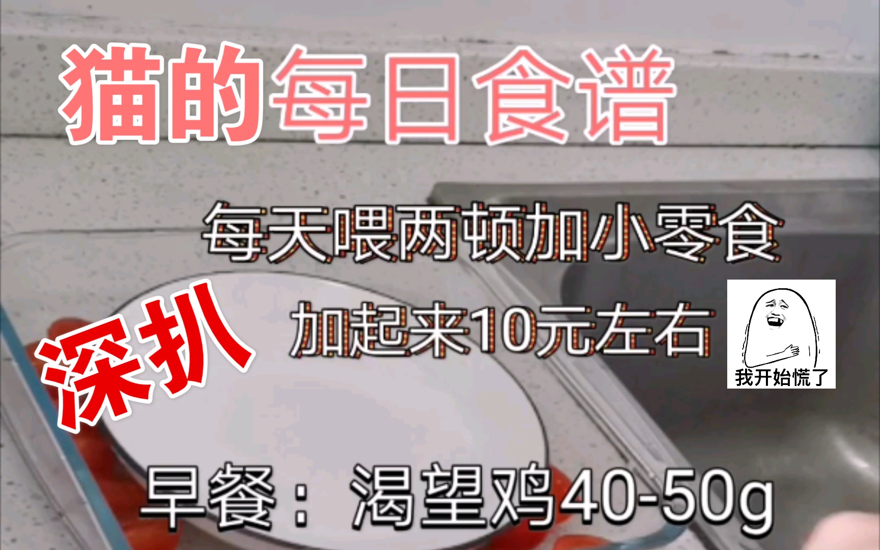 幼猫吃什么?成猫吃什么?猫粮问题好可怕d(吐𔅐๑),纯肉又营养不均衡,焦绿,大家都来分享自家猫吃什么吧,轻拍,该吃的不该吃的都吃了哔哩哔哩...