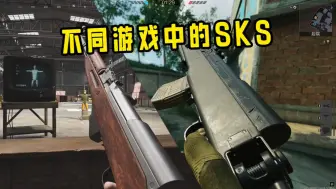 Descargar video: 这些游戏你玩过几款SKS?