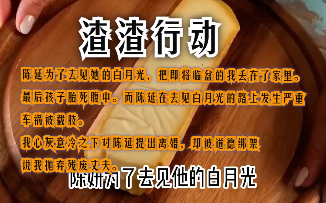 【小说推荐】《渣渣行动》陈延为了去见她的白月光,把即将临盆的我丢在了家里.最后孩子胎死腹中.哔哩哔哩bilibili