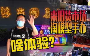 Download Video: 来北京著名的潘家园旧货市场淘模型手办玩具，是一种什么体验？