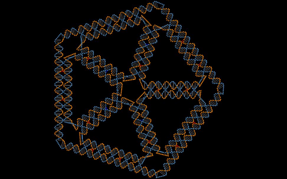 dna origami设计软件—perdix