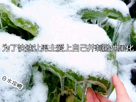 白水攻略哔哩哔哩bilibili