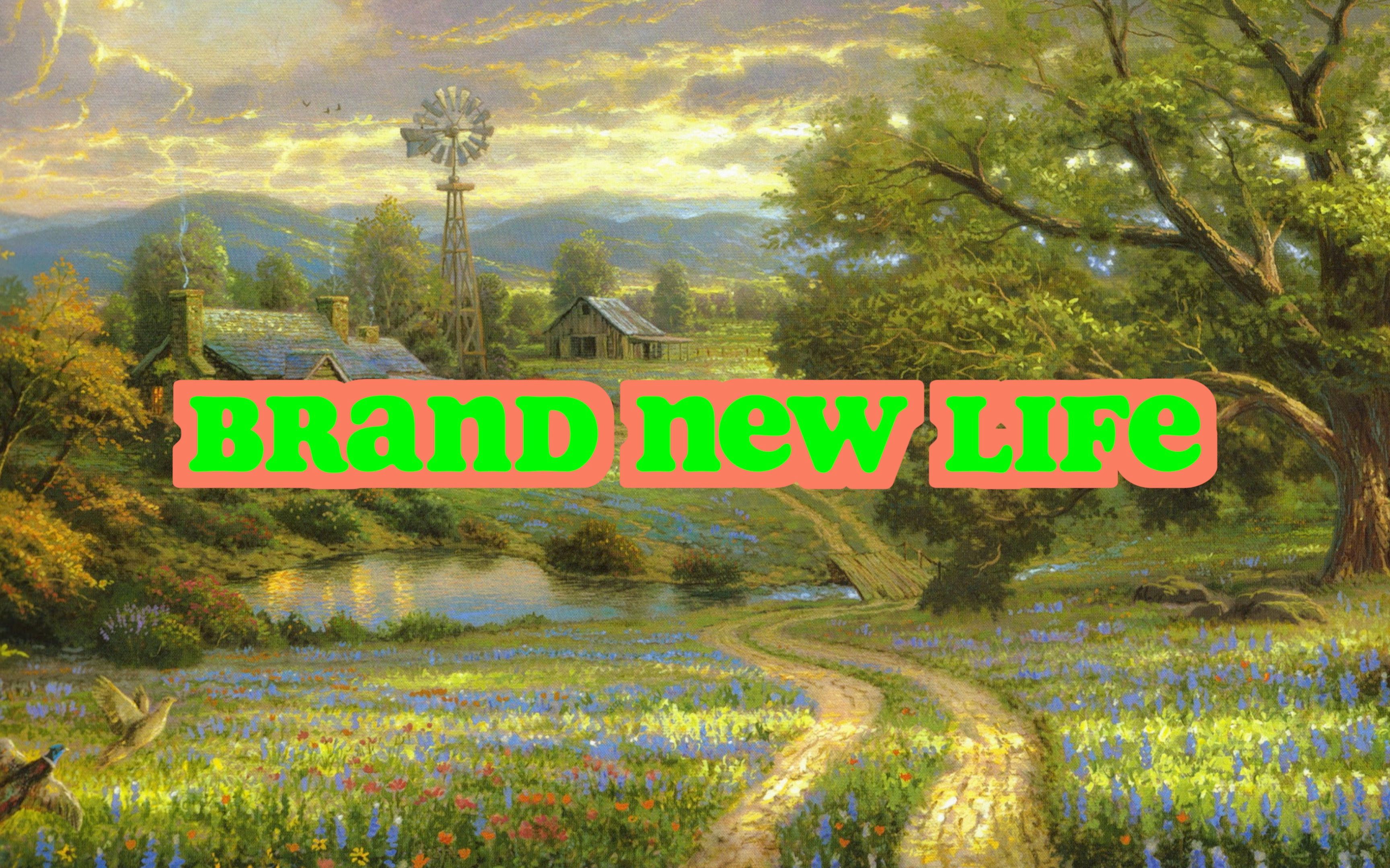阳光又正能量——《brand new life》