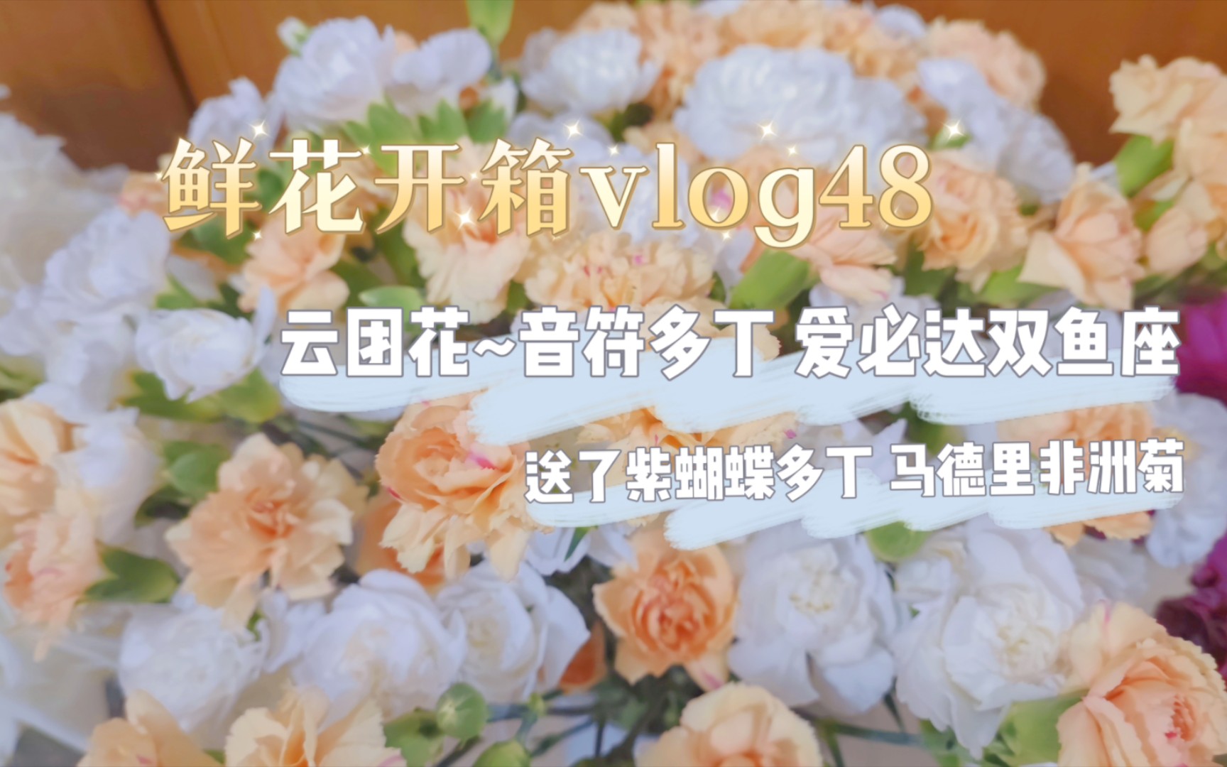 [鲜花开箱vlog48]云团花|音符多丁|爱必达双鱼座|送了两束花哔哩哔哩bilibili