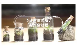 下载视频: 【迷你生态瓶】制作全过程