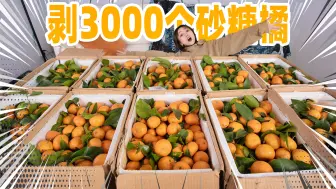 Download Video: 挑战！用3000个砂糖桔做一桌年夜饭？！