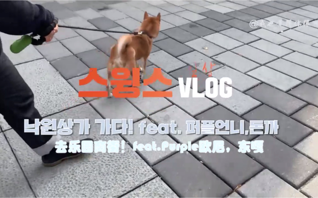 [中字]Swings Vlog Feat Purple欧尼 And东嘎哔哩哔哩bilibili