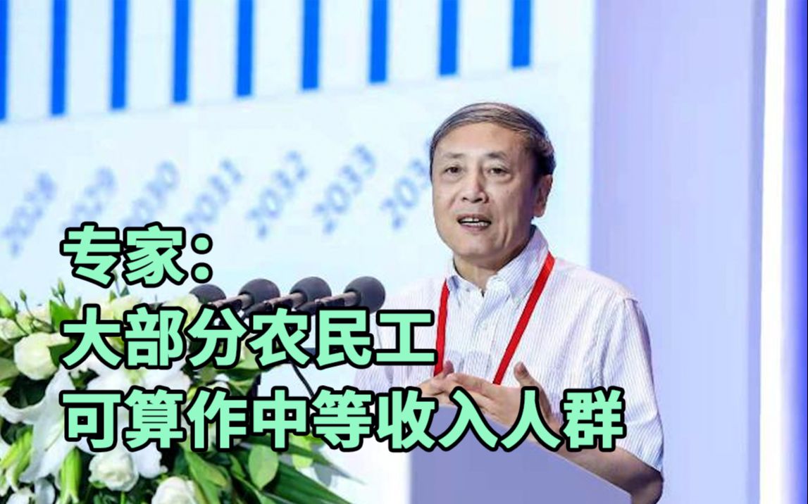 专家:大部分农民工,可算作中等收入群体哔哩哔哩bilibili