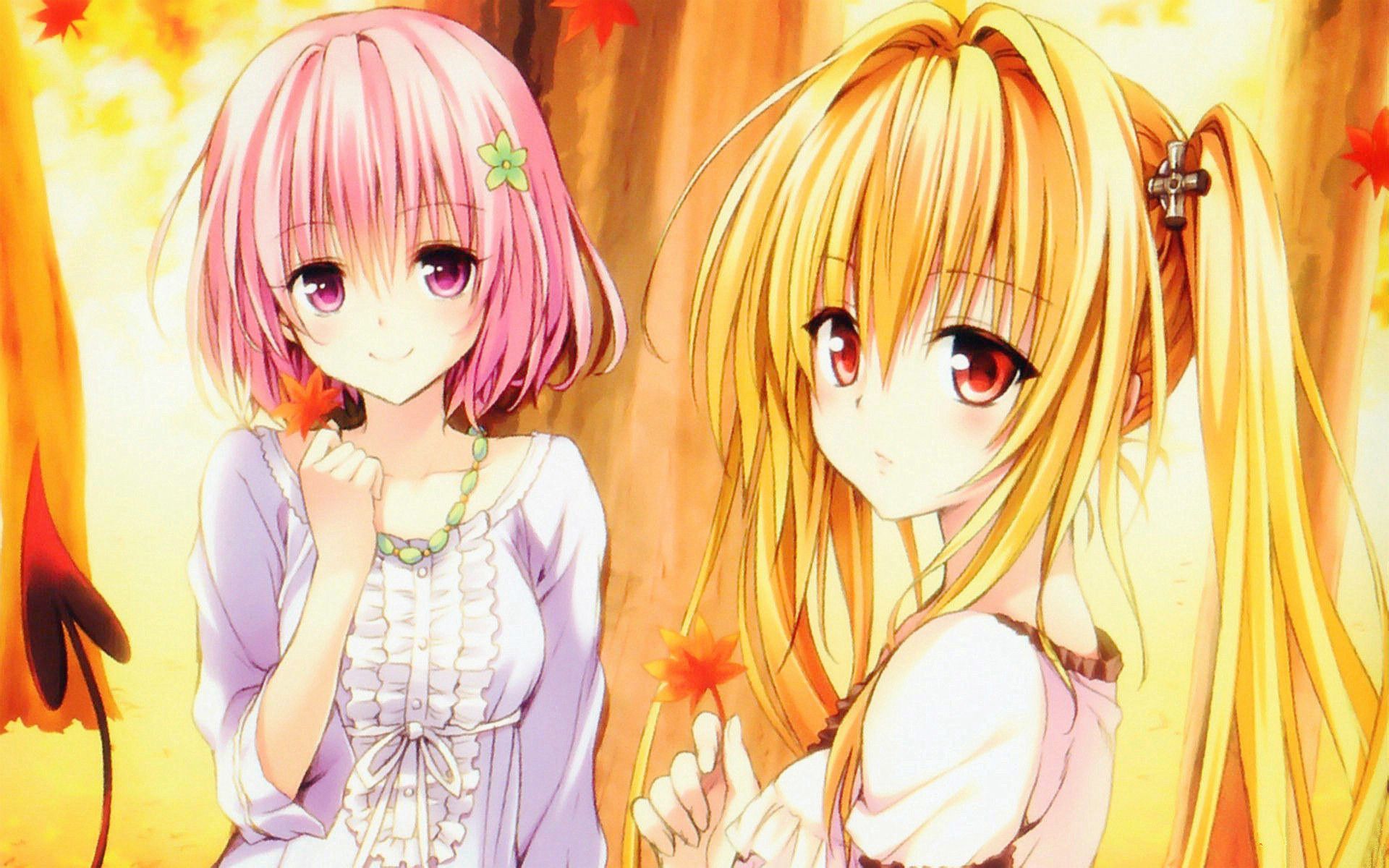 震惊金色之暗还能这么玩男孩子看了沉默女孩子压根都不敢看