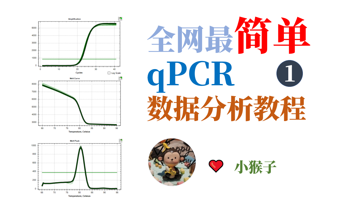 【研究生必备45】qPCR数据分析教程(全网最简单)哔哩哔哩bilibili