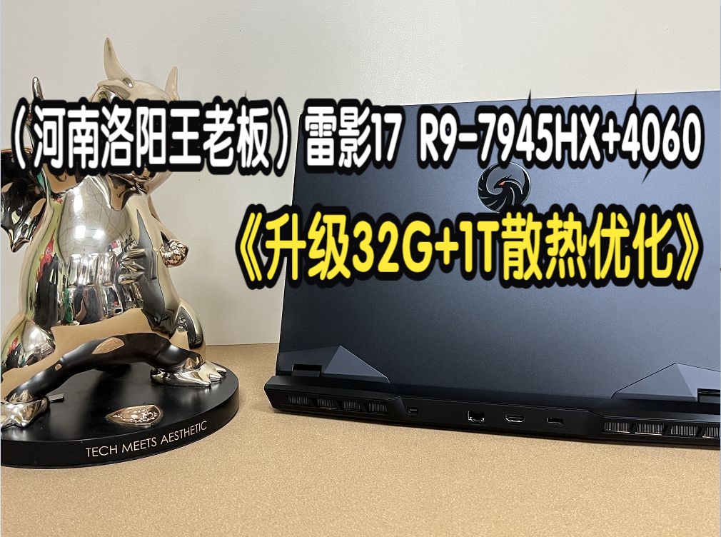 (河南洛阳王老板)雷影17HX R97945HX+RTX4060满功耗 升级32G+1T 固态马甲 内存导热垫 精简视频 9月26日哔哩哔哩bilibili