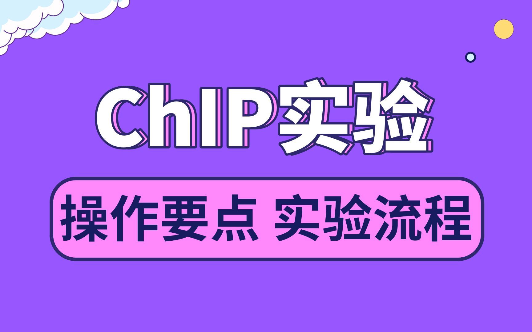 免疫共沉淀,ChIP实验的原理,流程,操作要点,注意事项详细教程哔哩哔哩bilibili