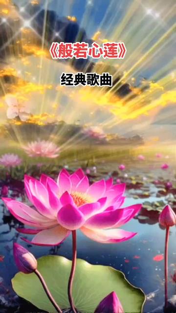 愿你心如莲花,干净无染愿你往后的日子清透,抬头遇见皆是温柔!