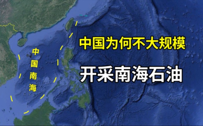 石油进口率达72%,中国为何不学周边国家,也开采南海石油?哔哩哔哩bilibili