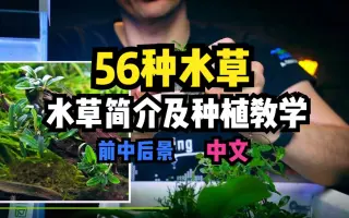 前景草 搜索结果 哔哩哔哩弹幕视频网 つロ乾杯 Bilibili