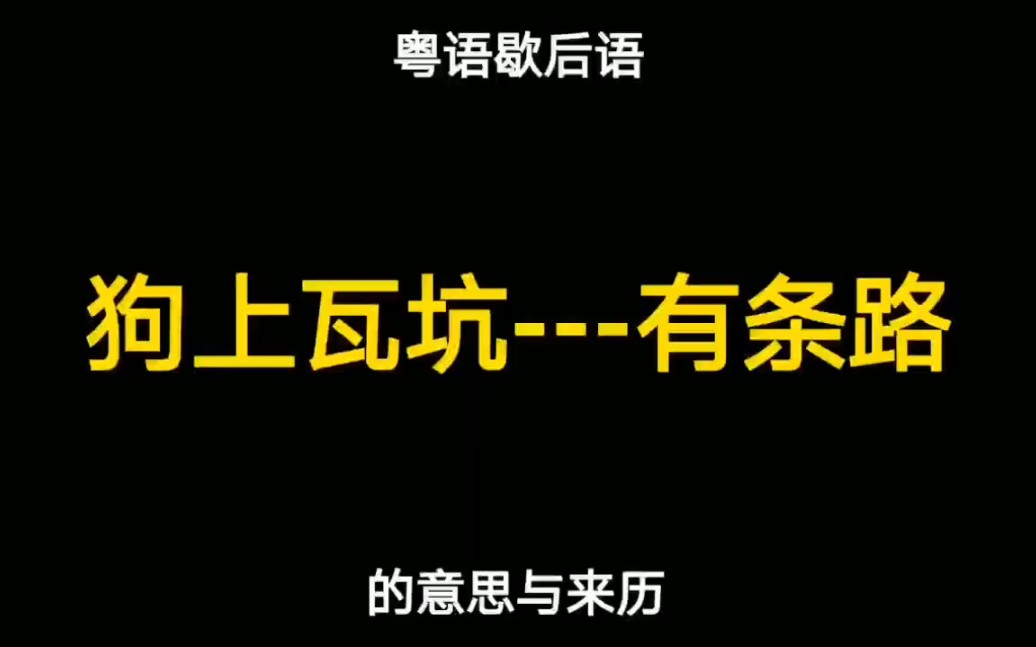 [图]粤语歇后语“狗上瓦坑--有条路”原来如此