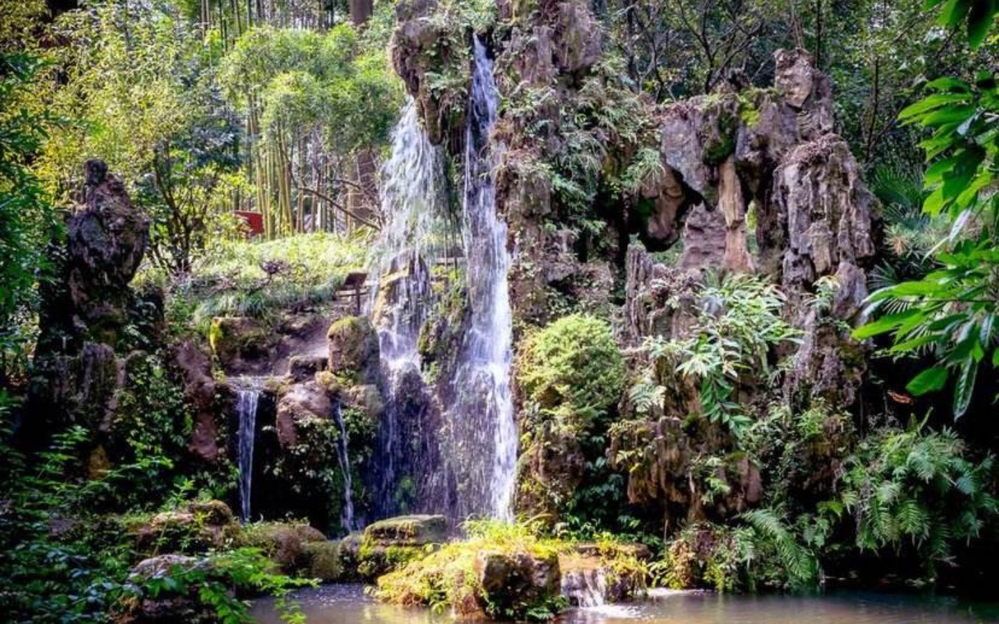 活动作品成都景