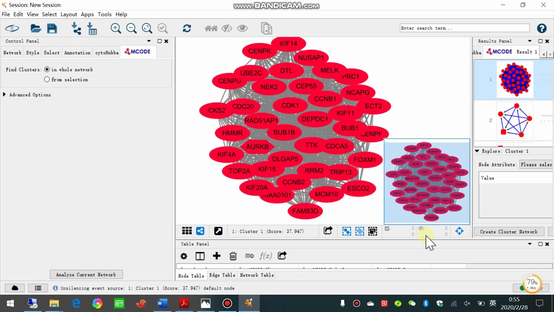 Cytoscope软件使用及作图哔哩哔哩bilibili