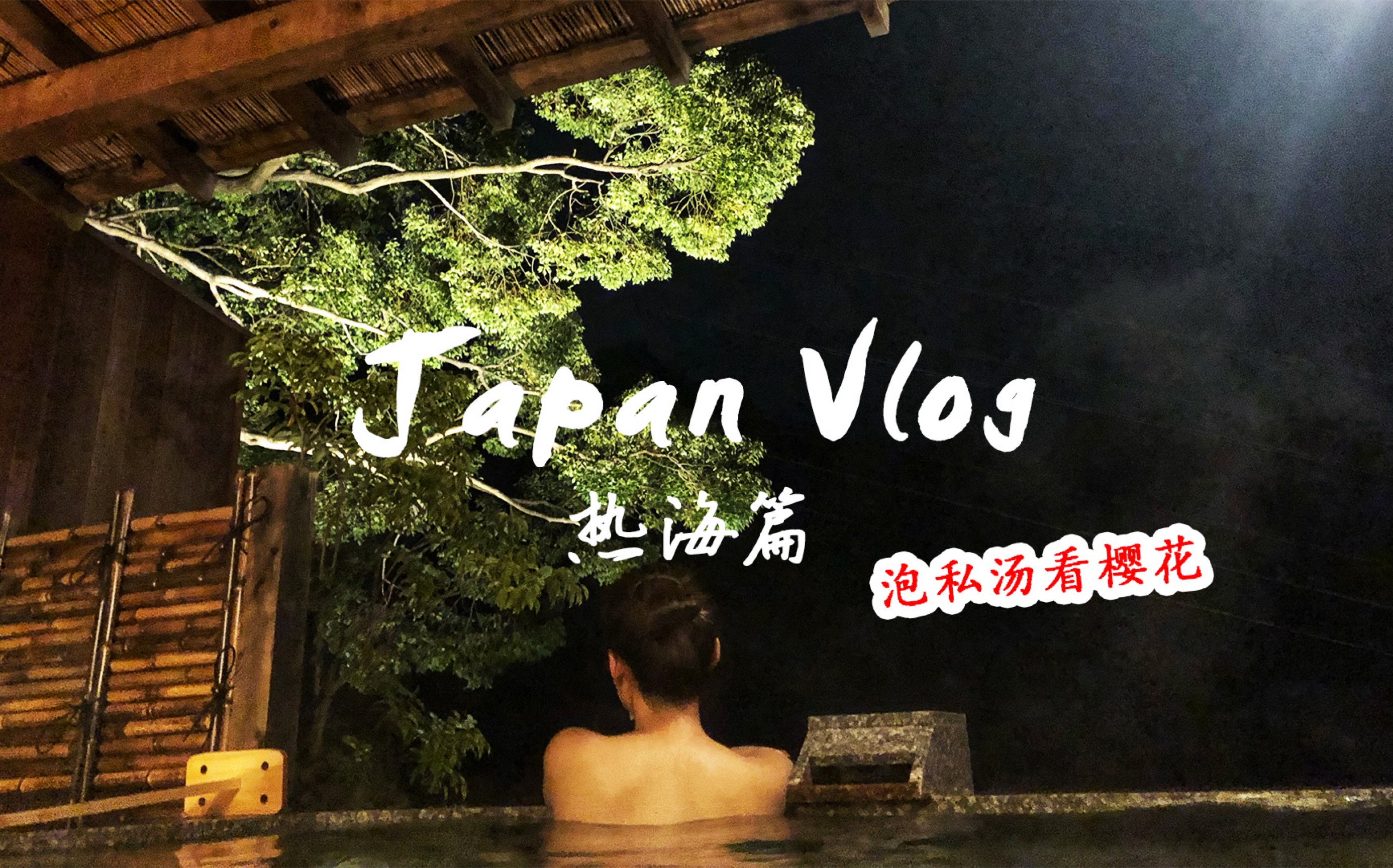 日本旅行VLOG#02热海泡私汤看樱花温泉旅馆推荐哔哩哔哩bilibili