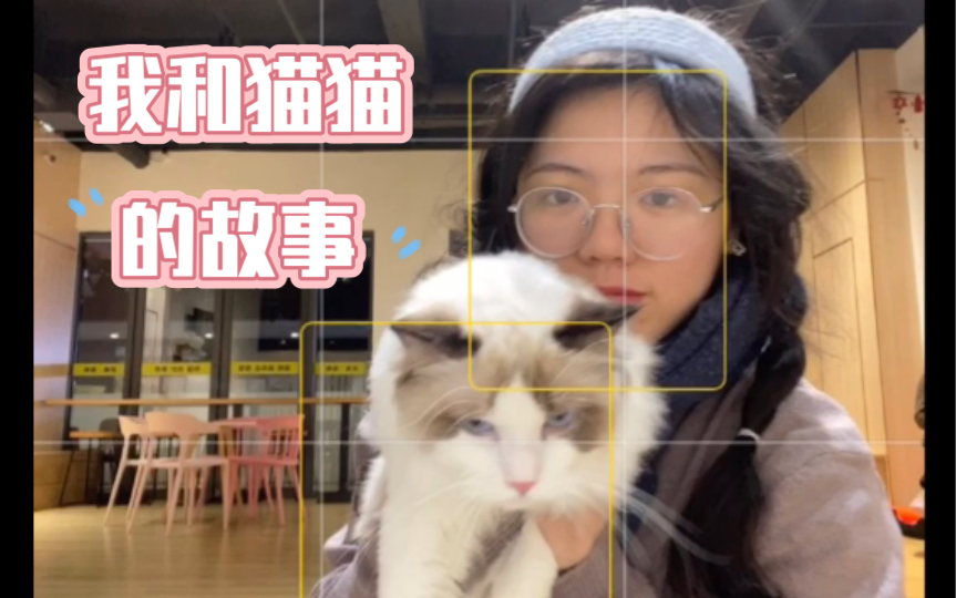 我和猫猫的故事,很长很长...哔哩哔哩bilibili