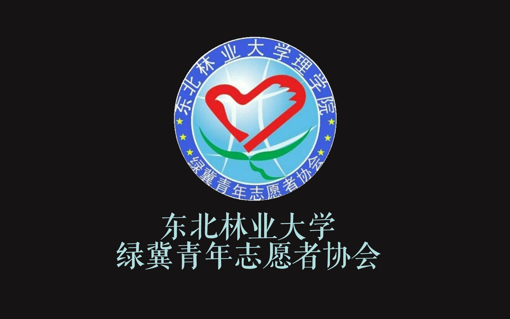 东北林业大学“绿冀”第⑨期暑期辅导班总结 (Demo)哔哩哔哩bilibili