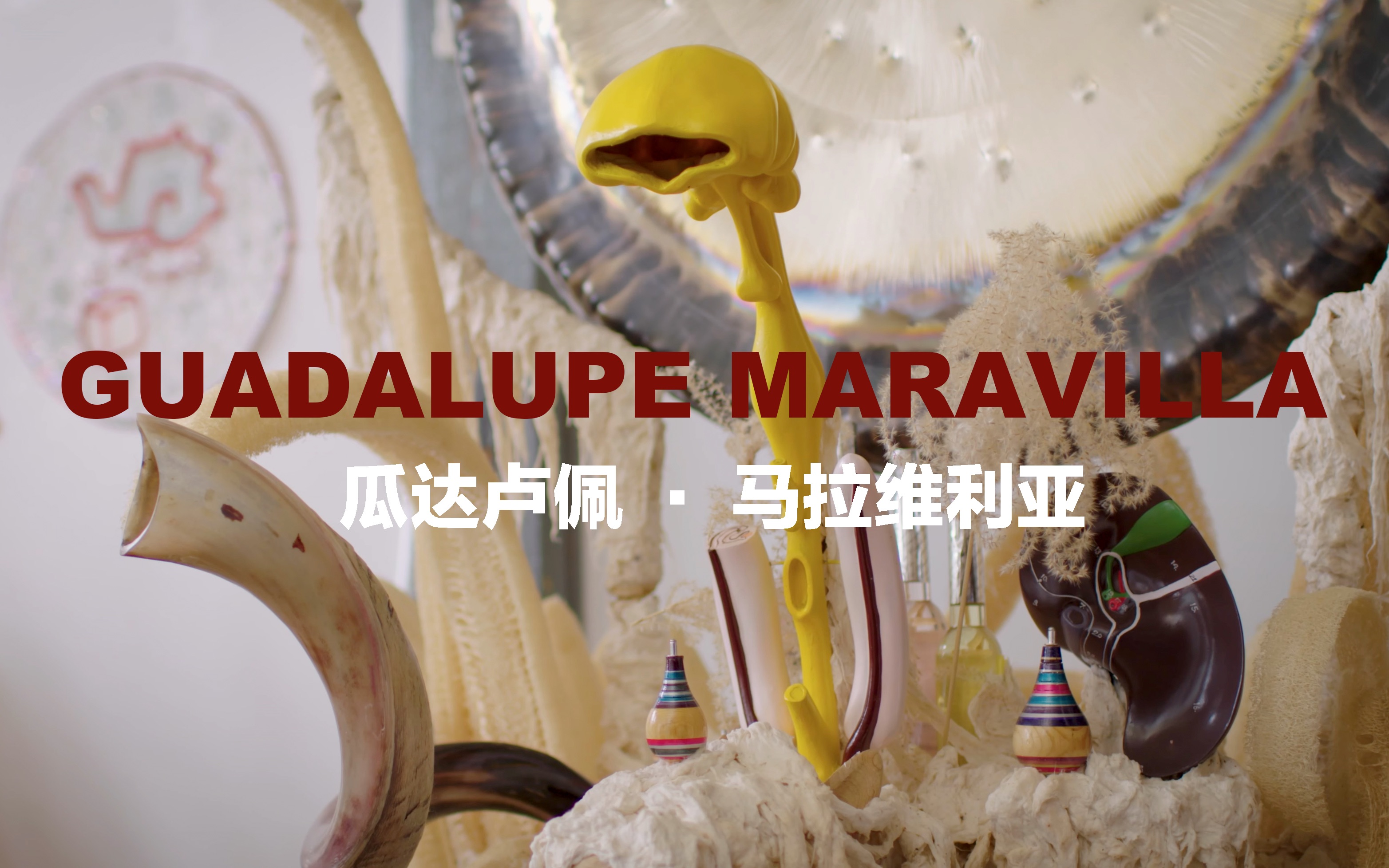 [图]Guadalupe Maravilla瓜达卢佩·马拉维拉/视觉艺术/声音/治疗师/装置/雕塑/