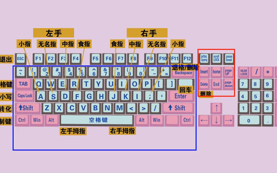 零基础学电脑打字,快速学会键盘打字,适合初学者学习