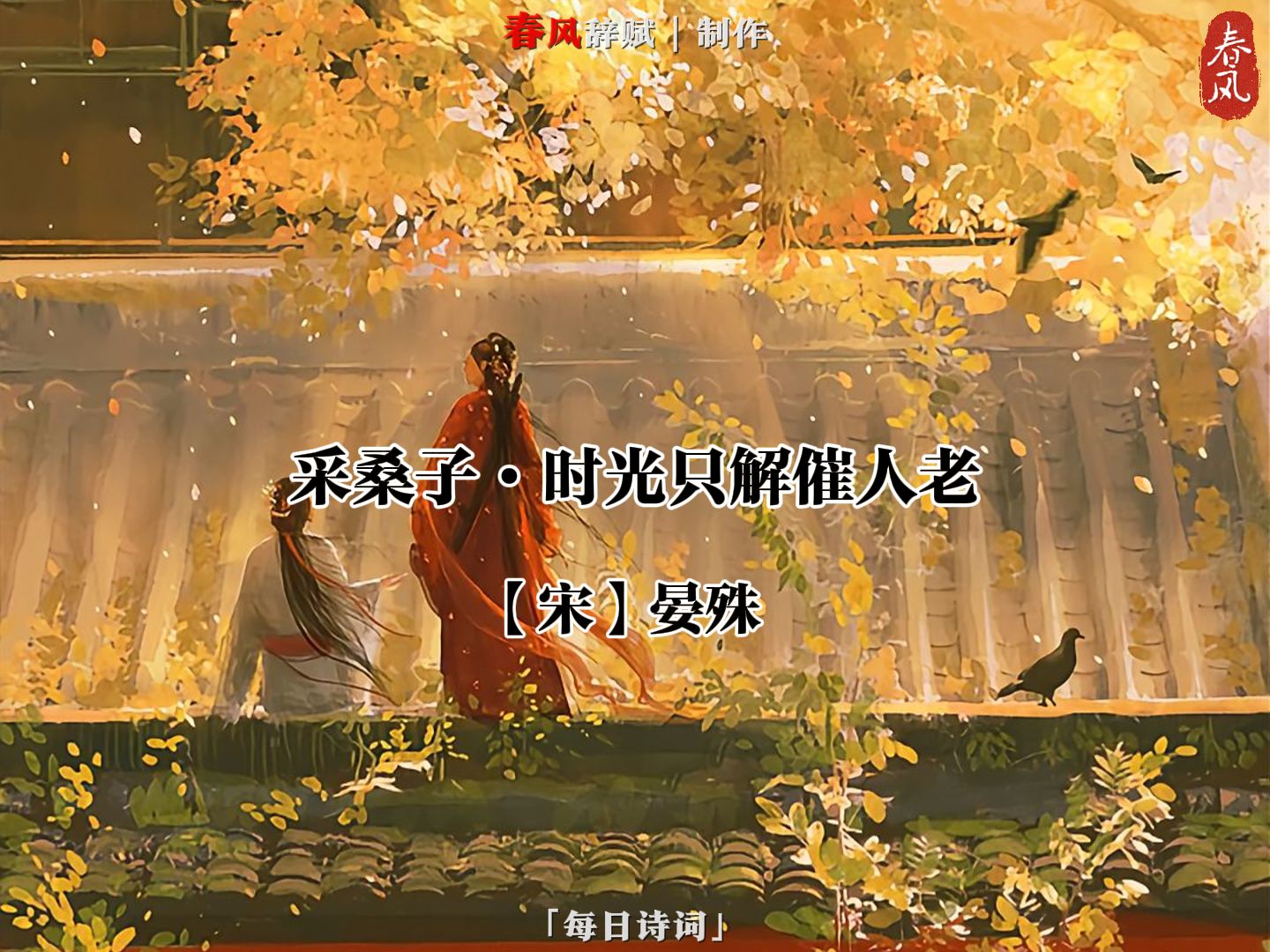 时光只解催人老,不信多情哔哩哔哩bilibili