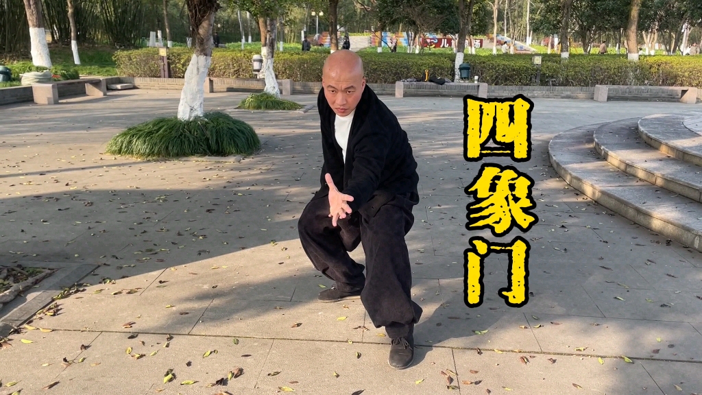 形意拳蛇形哔哩哔哩bilibili