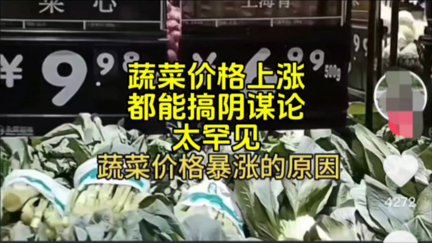 蔬菜价格上涨不是市场行为吗,为什么有那么多阴谋论?哔哩哔哩bilibili