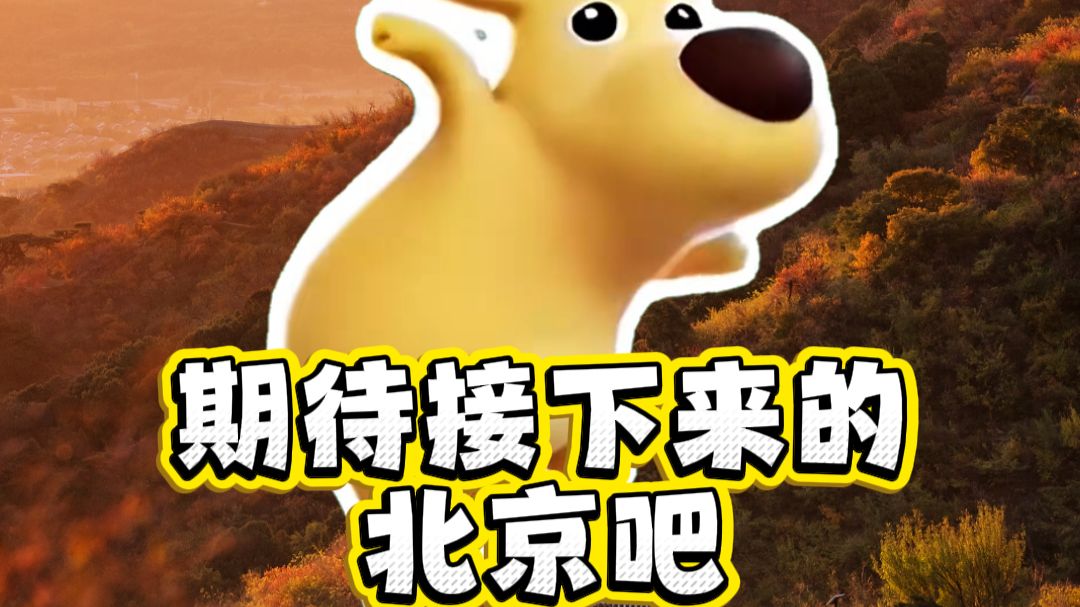 期待接下来北京吧，到时别忘了来摘周末～