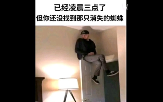 【梗图】“蜘蛛和我必须s一个” 各种类型的meme(27)哔哩哔哩bilibili