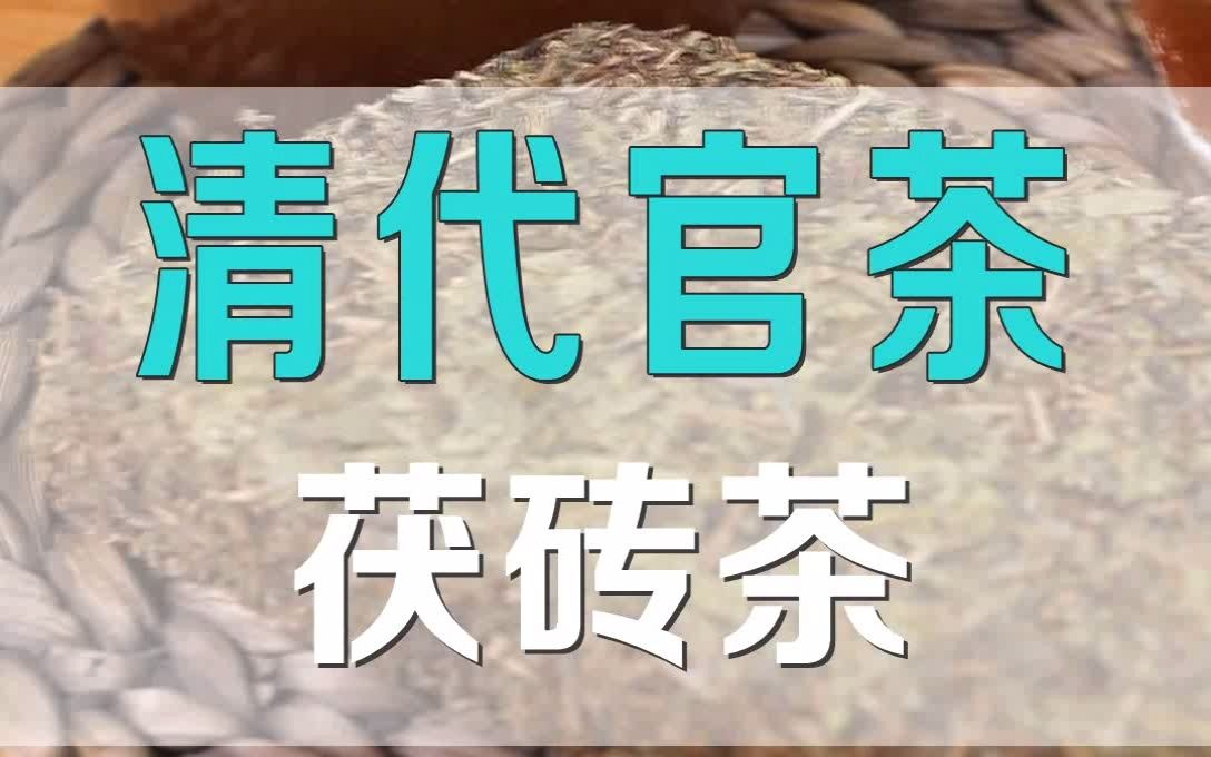 清代官茶你知道是什么吗?哔哩哔哩bilibili